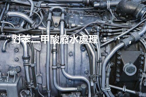 “對苯二甲酸廢水處理，綠色創(chuàng)新引領(lǐng)環(huán)保新篇章”